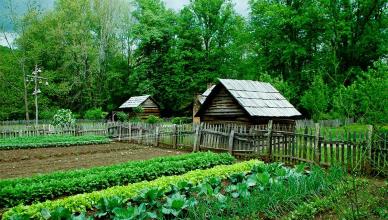 Особенности строительства и ведения хозяйства на землях для садоводства и огородничества